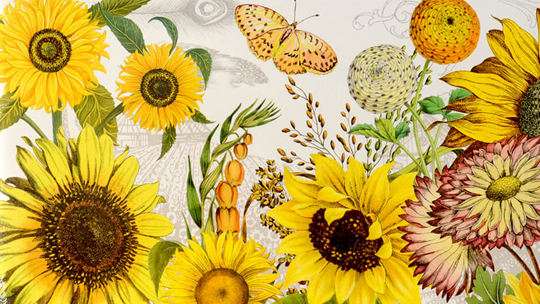 Michel Design Works motiv Sunflower