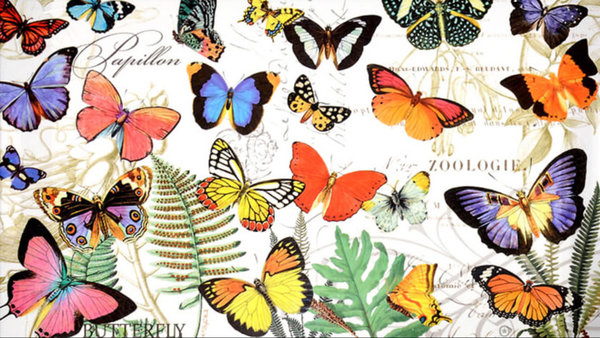 Michel Design Works Motiv Papillion - Schmetterlinge