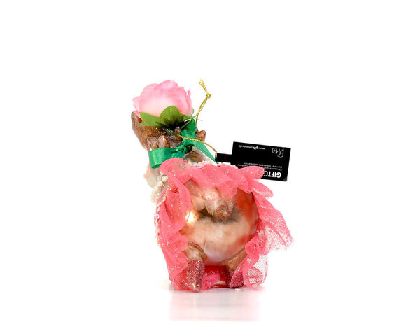 "Hippo mit Tütü" Glas Hänger von Gift Company